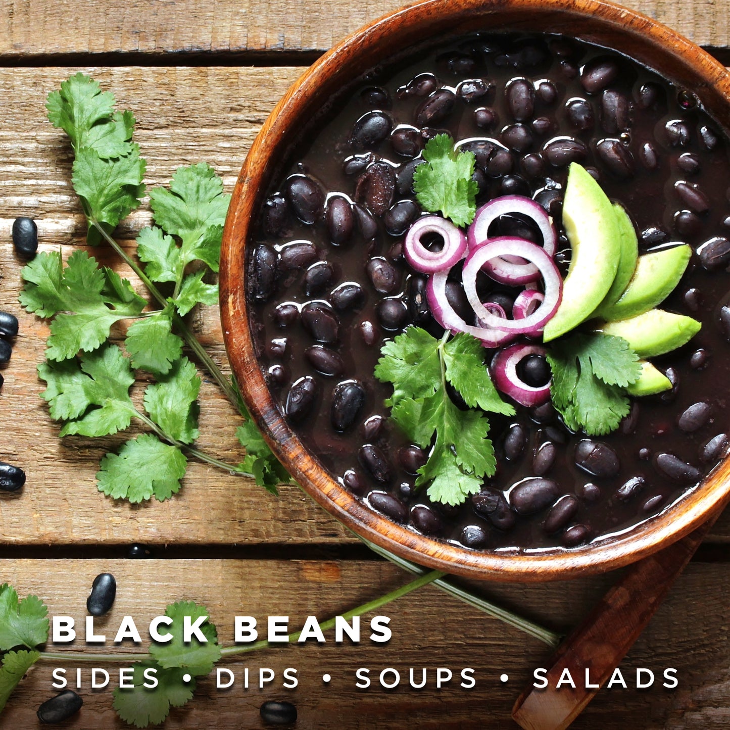 Black Beans // Michigan Grown, USDA Organic Certified, Non-GMO