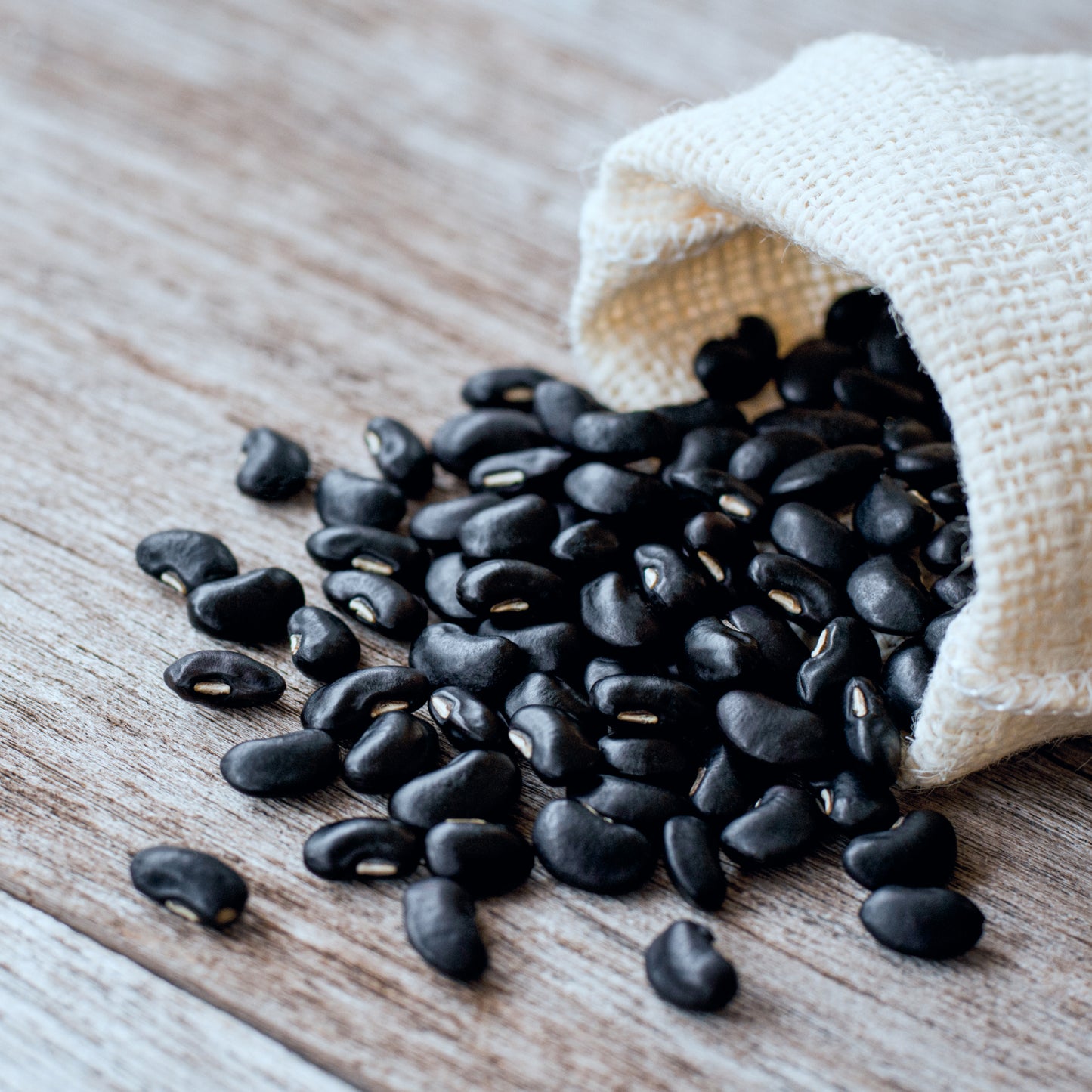 Black Beans // Michigan Grown, USDA Organic Certified, Non-GMO