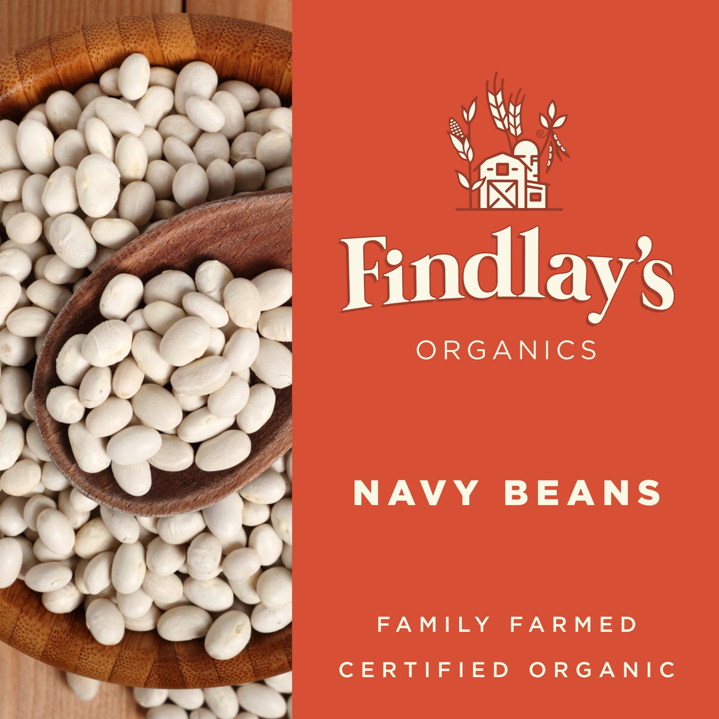 Navy Beans // Michigan Grown, USDA Organic Certified, Non-GMO