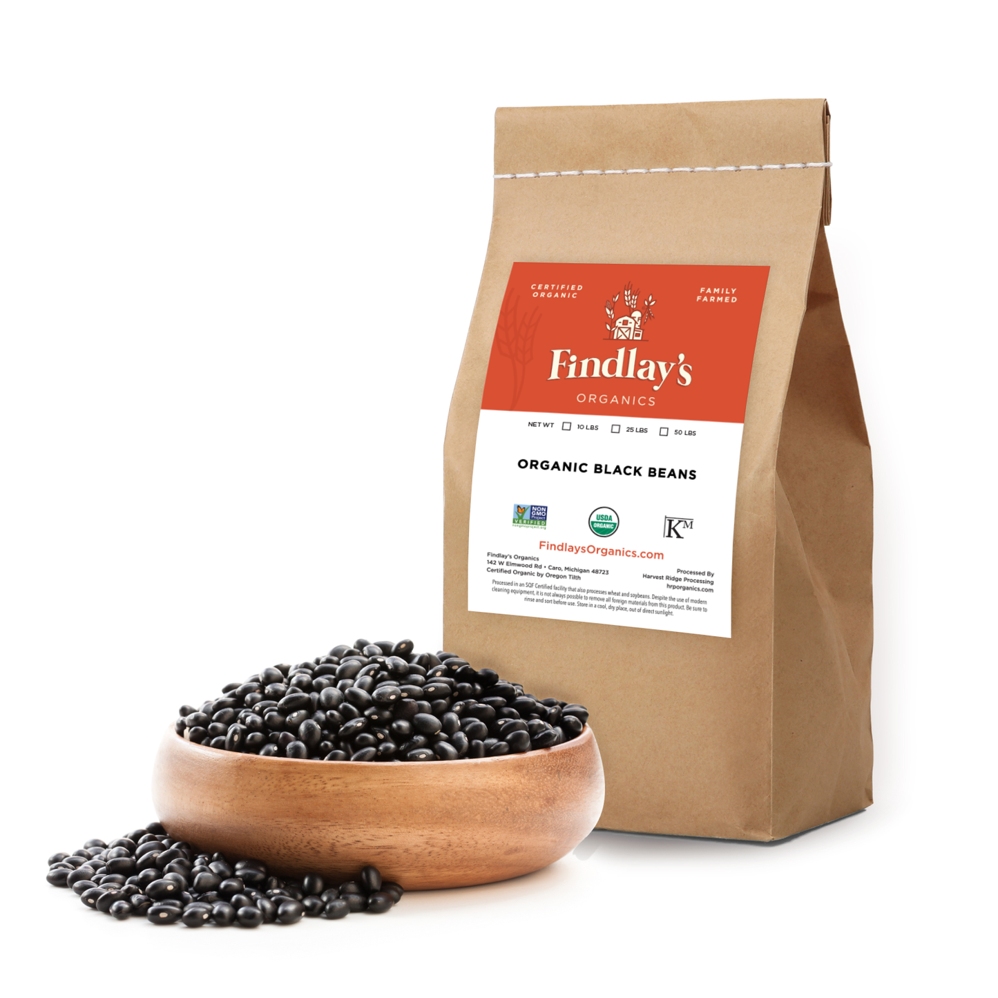 Black Beans // Michigan Grown, USDA Organic Certified, Non-GMO