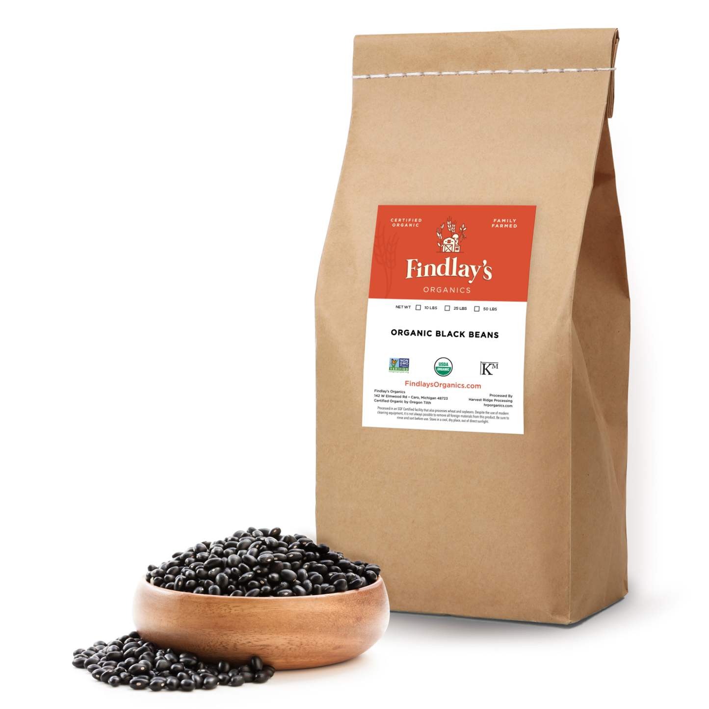 Black Beans // Michigan Grown, USDA Organic Certified, Non-GMO