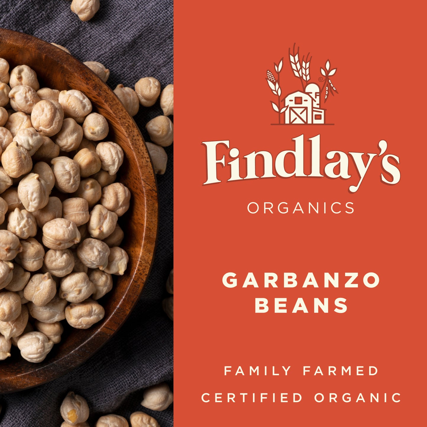 Garbanzo Beans // Grown in USA, USDA Organic Certified, Non-GMO