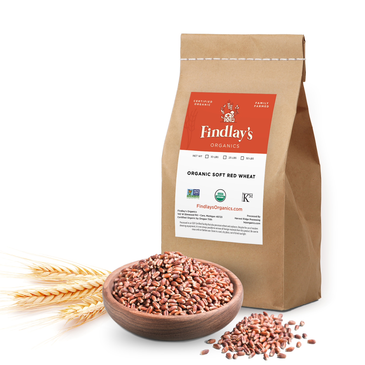 Soft Red Wheat // Michigan Grown, USDA Organic Certified, Non-GMO