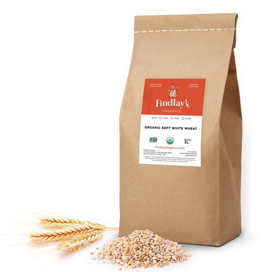 Soft White Wheat // Michigan Grown, USDA Organic Certified, Non-GMO