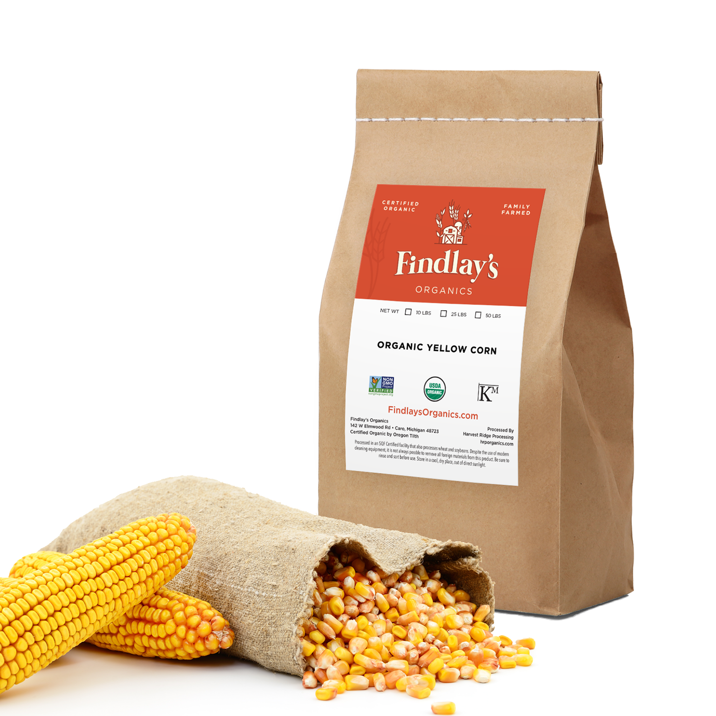 Yellow Corn // Michigan Grown, USDA Organic Certified, Non-GMO